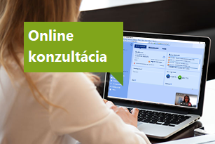 Online konzultace